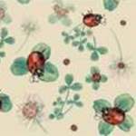 Ladybugs Lullaby